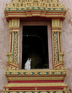 Cat in the window at Chalong Temple