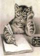 [cat+writing+blog.jpg]