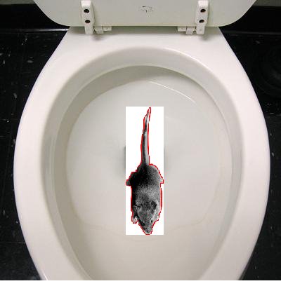 [toilet.bmp]
