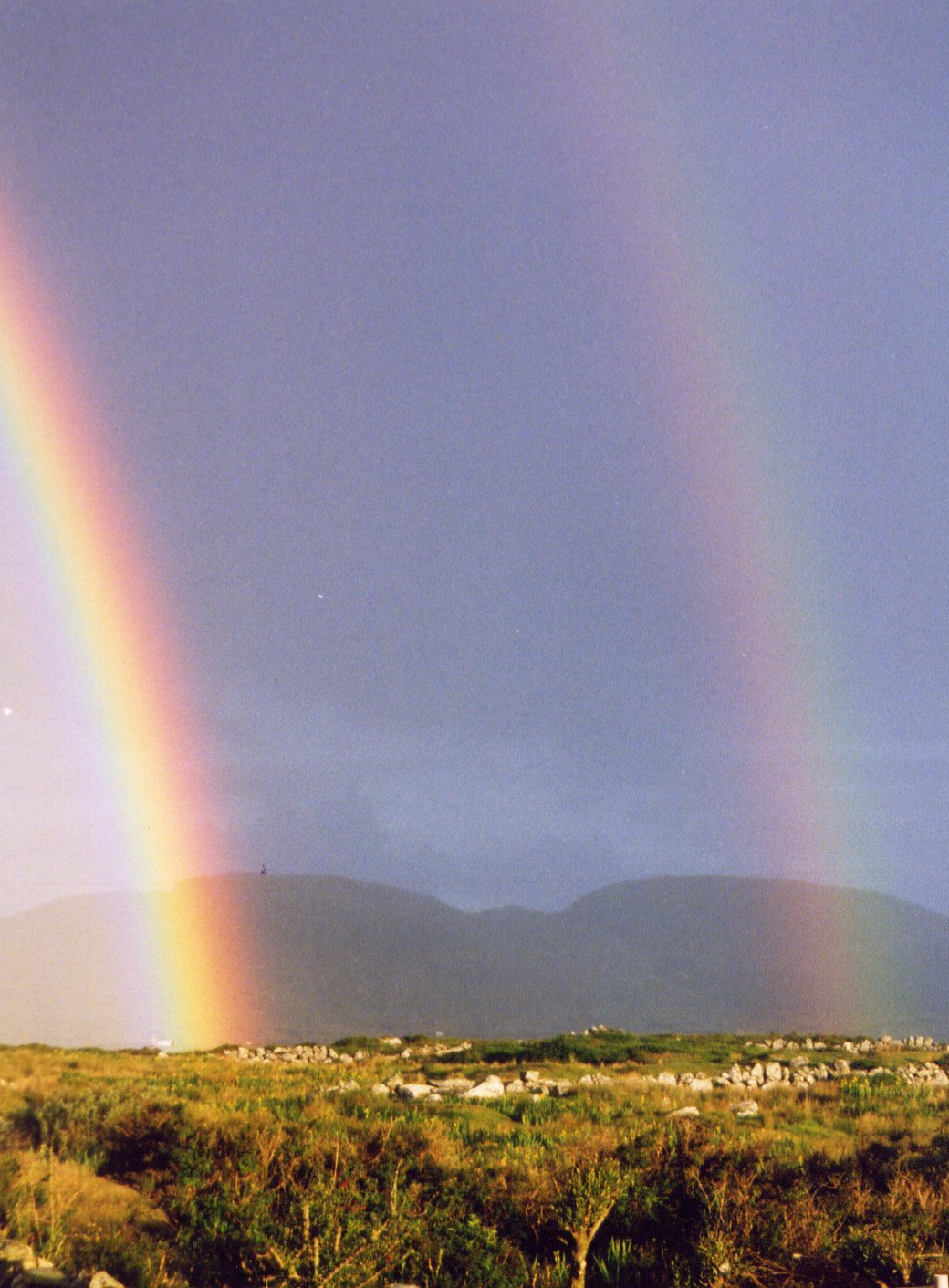 [irish+rainbow.jpg]