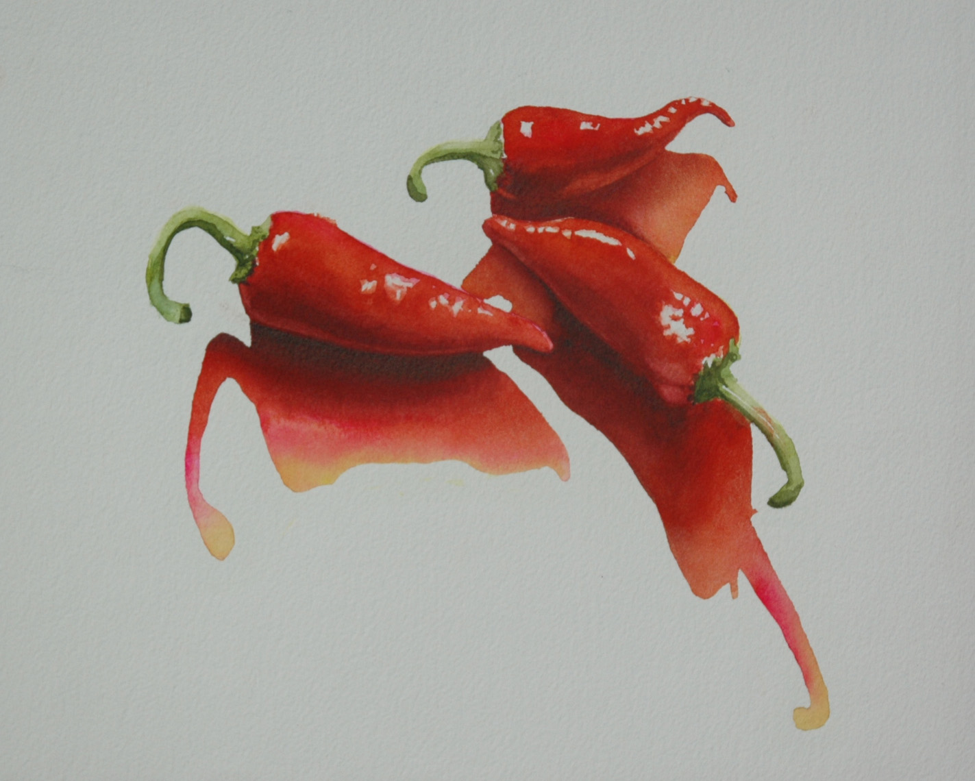 [peppers2.jpg]