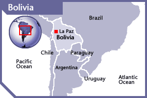 [map_bolivia.gif]