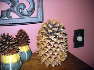[pine+cone.jpg]