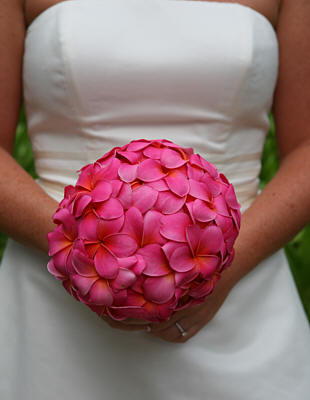 [pink+plumeria+bouquet+with+amanda+at+her+wedding+.jpg]