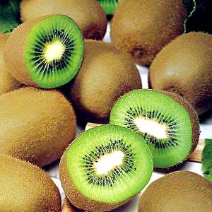 [kiwifruit.jpg]