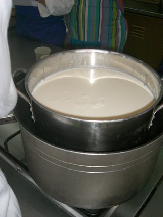 [Acondicionamiento+de+la+leche+para+preparar+queso+blanco+criollo.jpg]