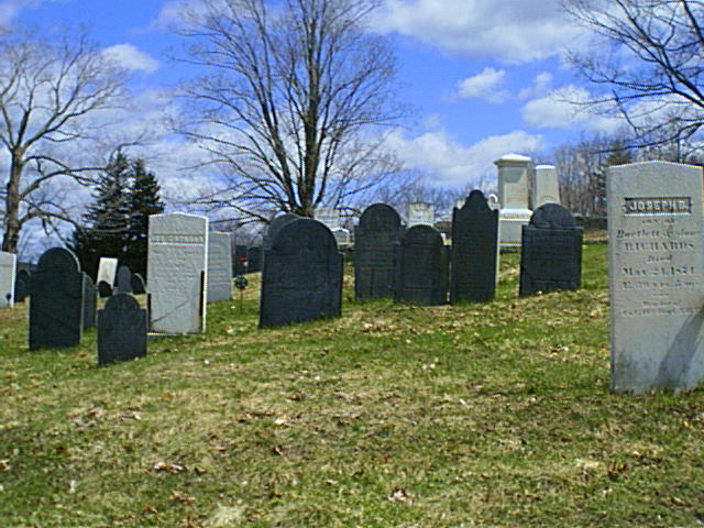 [cemetery1.jpg]