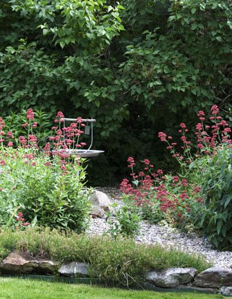 [backyard,+wildflower+arrangement+and+bee+003.jpg]