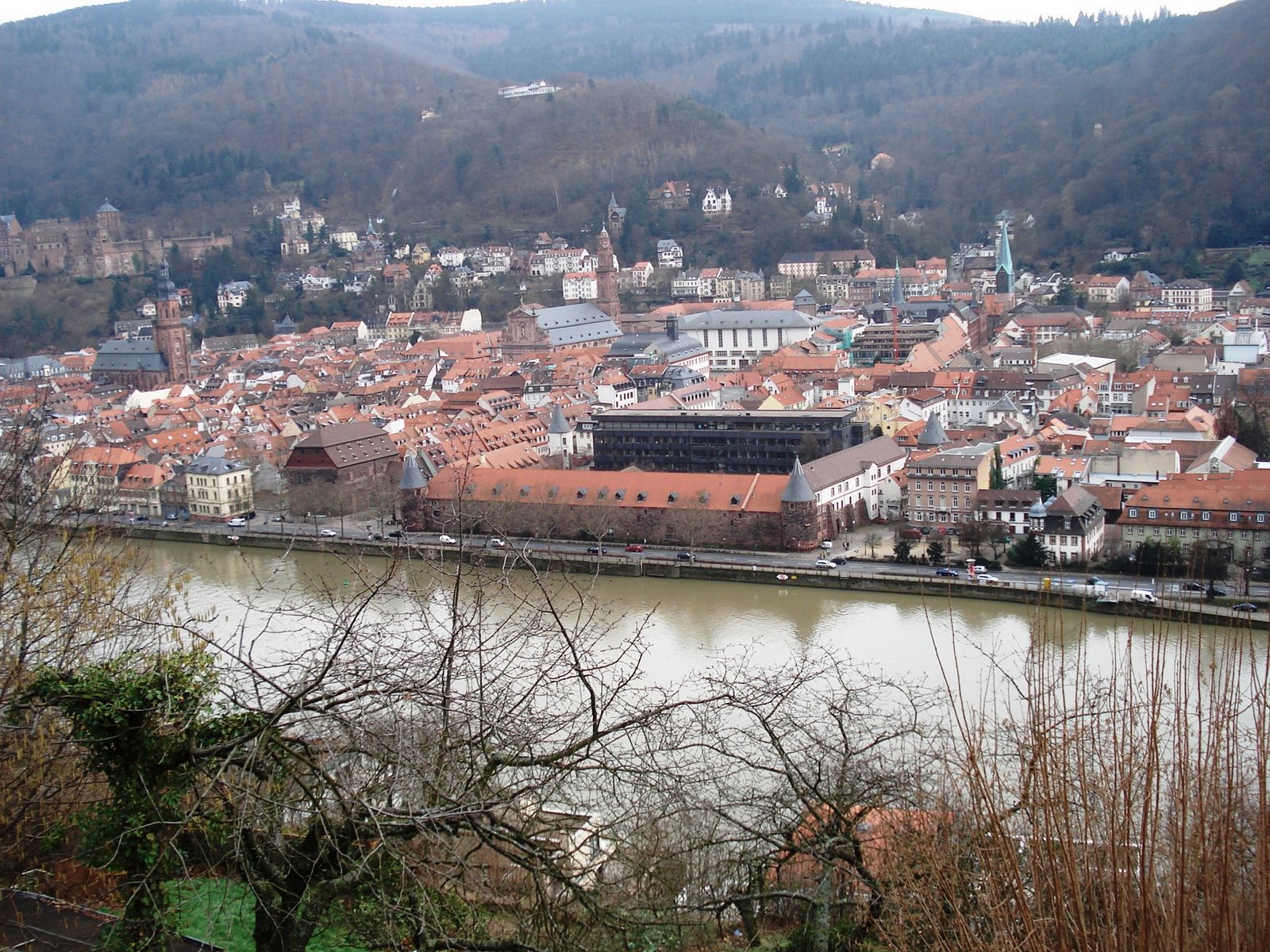 [Heidelberg+II+051.jpg]