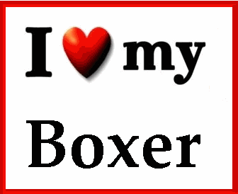 [I+LOVE+MY+BOXER!.GIF]