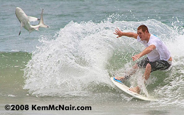 [wave-jumping-shark-caught-photographer-kem-mcnair5.jpg]