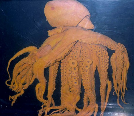 [octopus_w_85_tentacles.jpg]