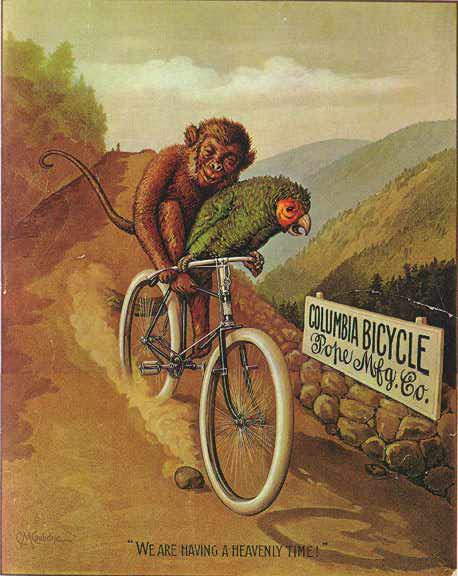 [1895+Columbia+REM+monkey-parrot.jpg]