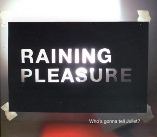 [rainingpleasure.jpg]