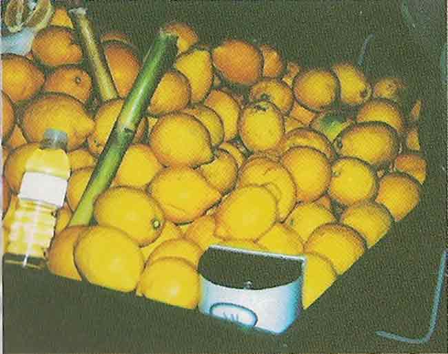 [limones.jpg]