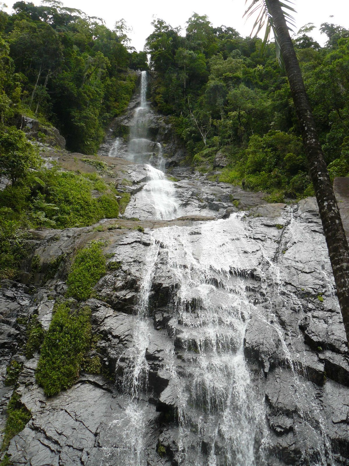[waterfall+med.jpg]