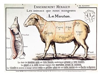 [210242~Mutton-Diagram-Depicting-the-Different-Cuts-of-Meat-Posters.jpg]