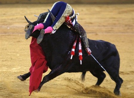 [Bullfighter.jpg]