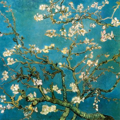 [8646~Almond-Branches-in-Bloom-San-Remy-c-1890-Posters.jpg]