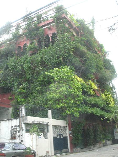 house covered in vines and other plants