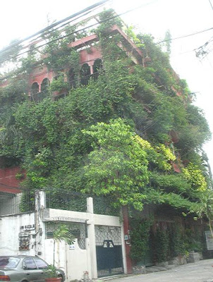 house covered in vines and other plants