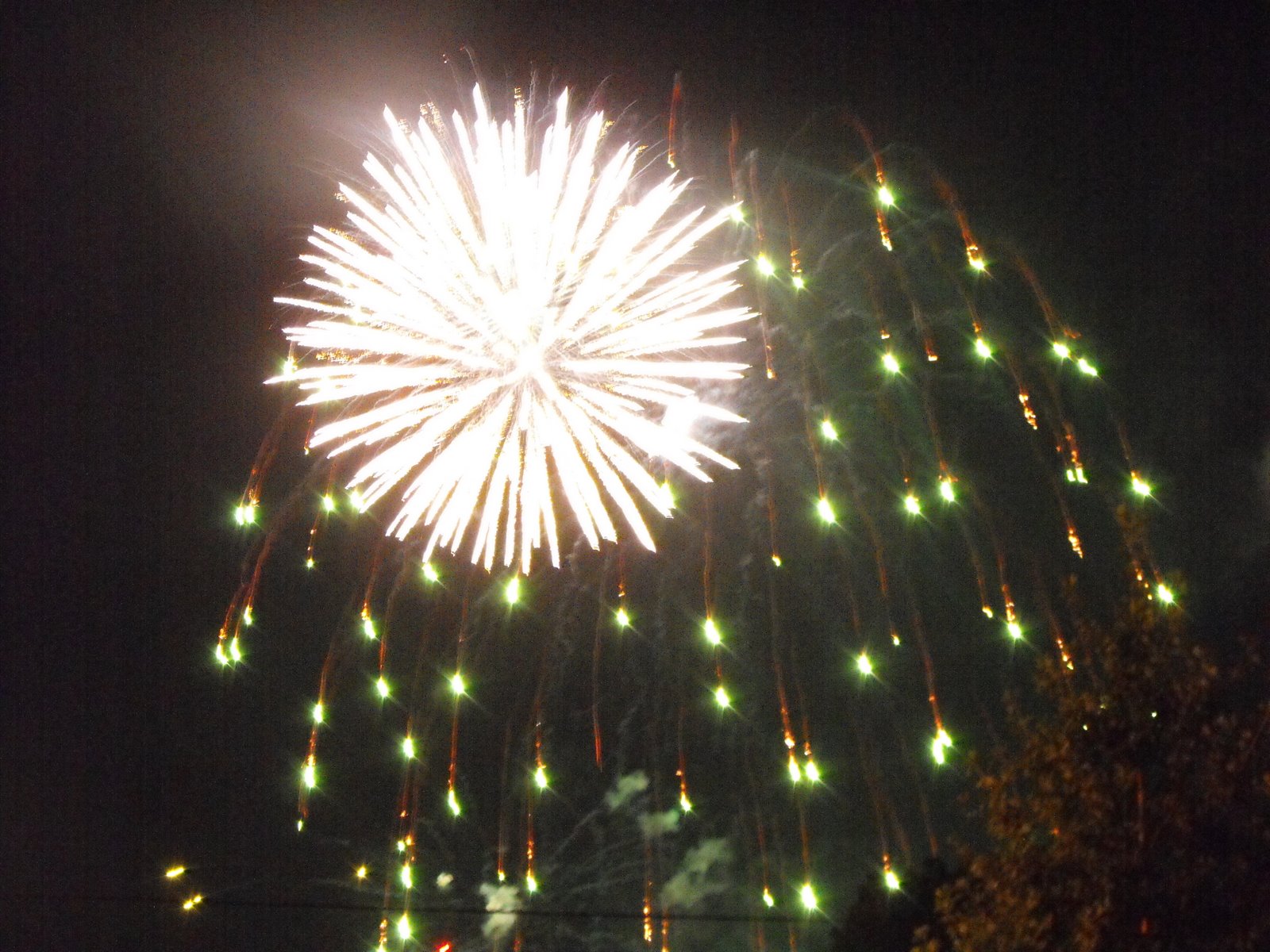 [fireworks+007.JPG]