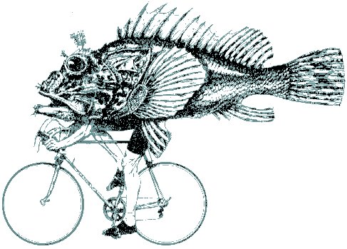 [fish_bicycle.bmp]