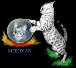 [meridian.jpg]