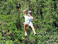 [canopy-tour-in-montego-bay-2.jpg]