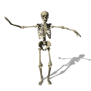 [skeleton_dancing_hw.gif]