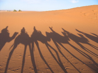 [Desert_Shadows_of_Camel_Ride.jpg]