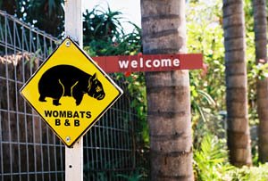 [wombats7D.jpg]