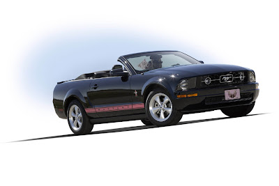 2008 Ford Mustang Warriors in Pink Package