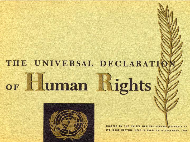 [pillar7-society-universal-declaration-of-human-rights.jpg]