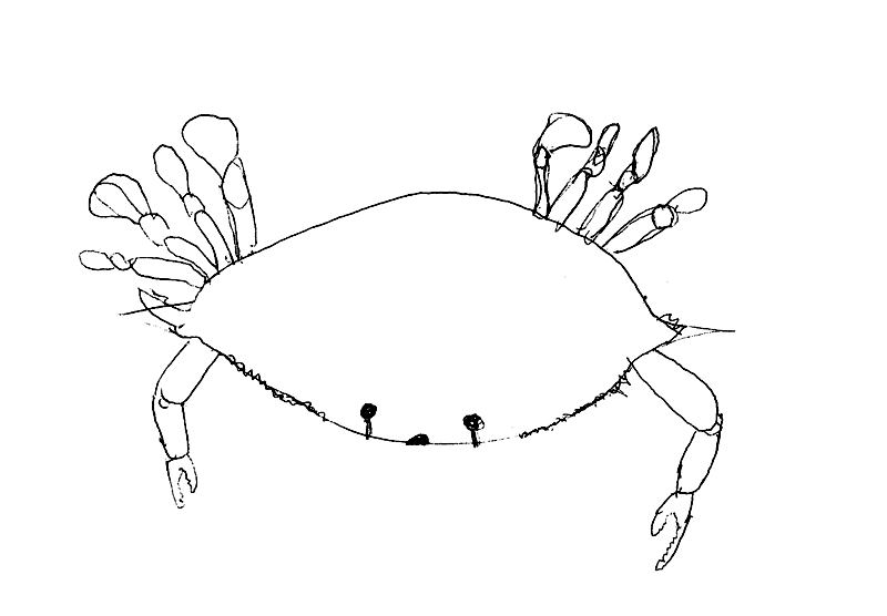 [Crabs316.jpg]