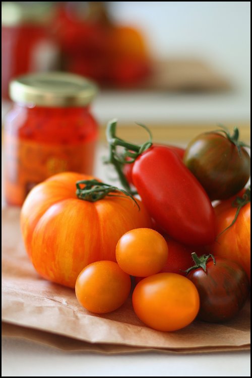 [ladner+tomatoes+copy.jpg]