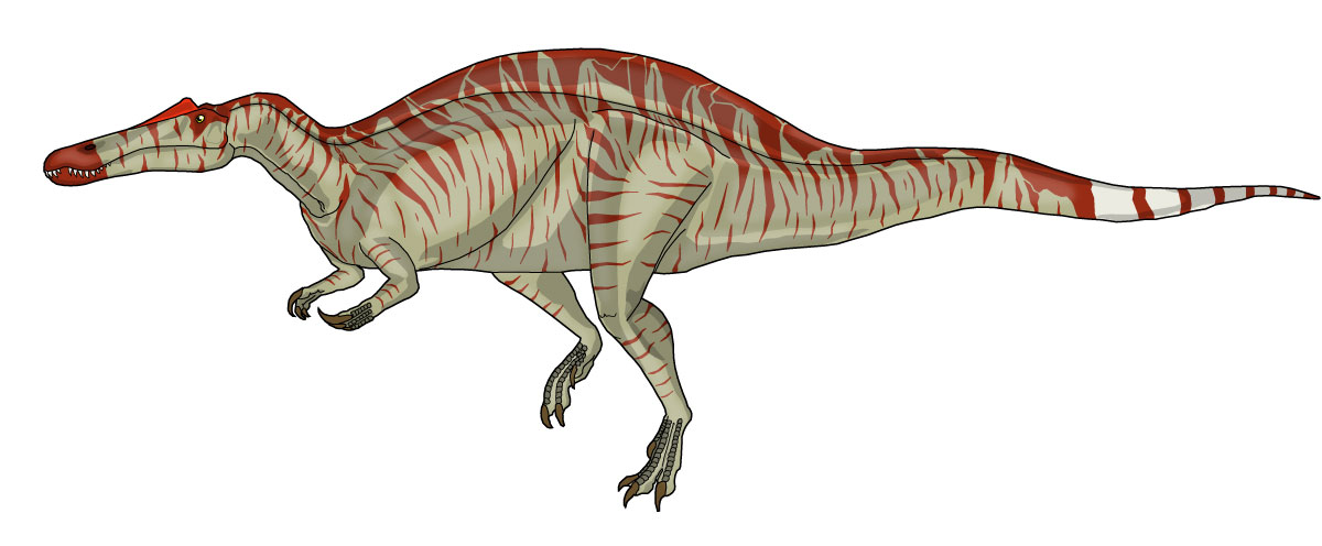 [Suchomimus20080412_colour1200.jpg]