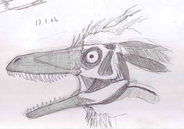[Dromaeosaur_headdissection.jpg]