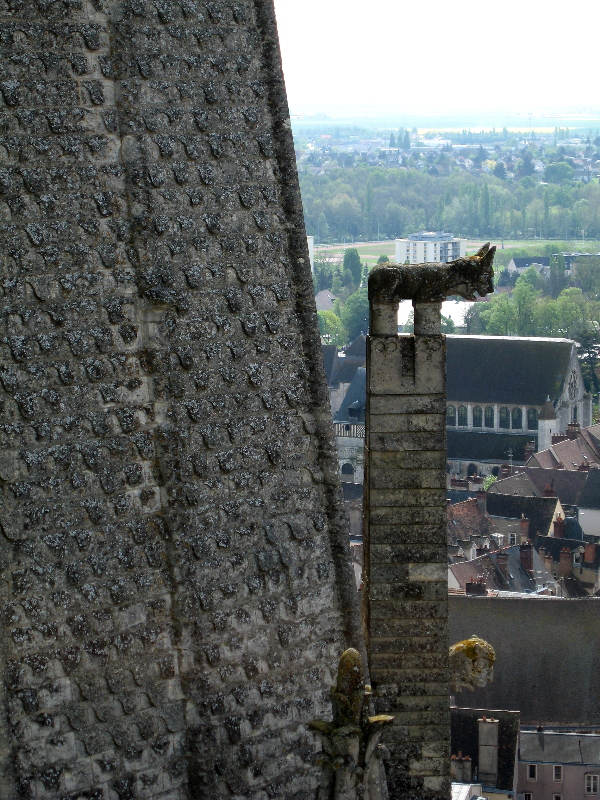 [Chartres+Tower+&+Ornament.JPG]