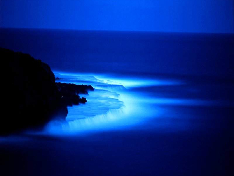 [Noche+azul.jpg]