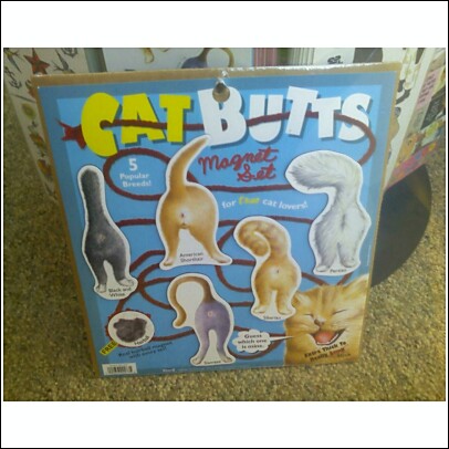 [CatButts.jpg]