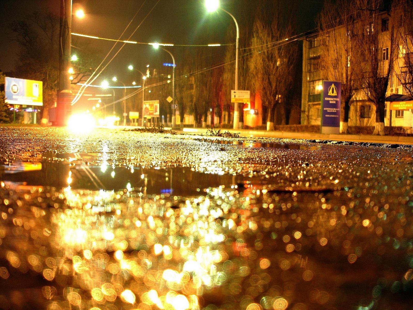 [rain+night.jpg]