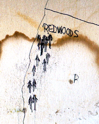 [Hitchhiking+Years+Redwoods.jpg]