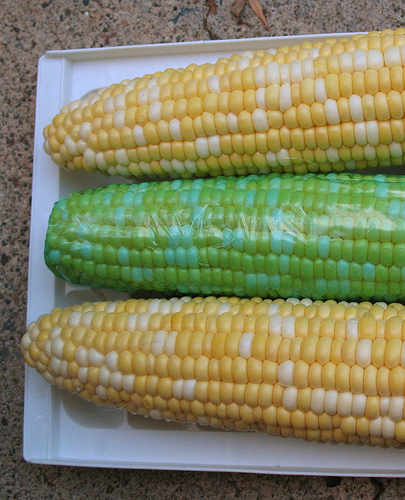 [green+corn.jpg]