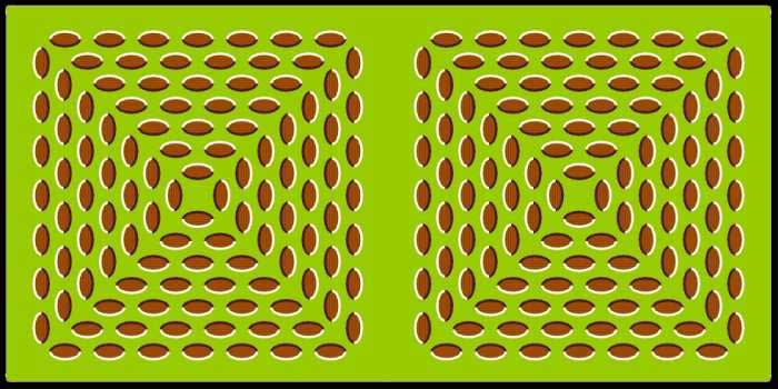 [optical_illusions_18.jpg]