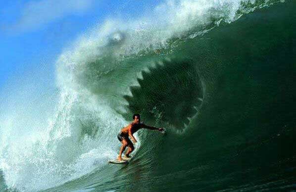 [shark_wave.jpg]