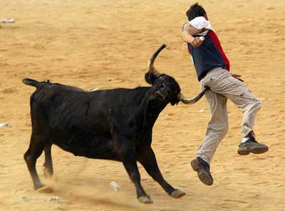 [bull_fighting_5.jpg]