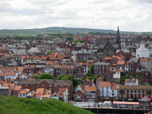 [whitby+view+houses.JPG]