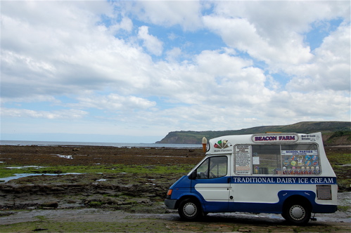 [robin+ice+cream+truck.JPG]