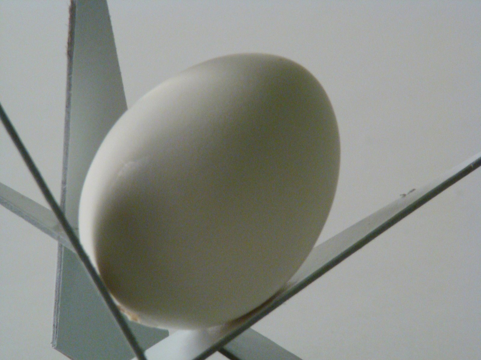 [egg3.jpg]